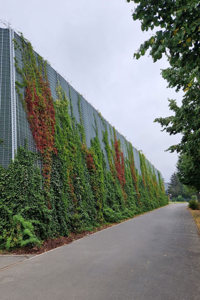 the-right-planting-Climatewall